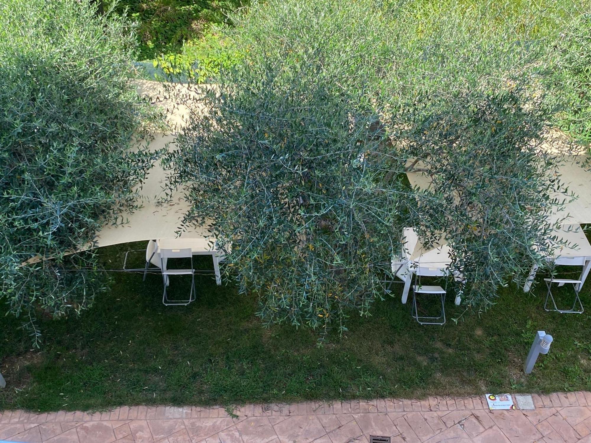Bed and Breakfast Miro' Agropoli Exteriér fotografie